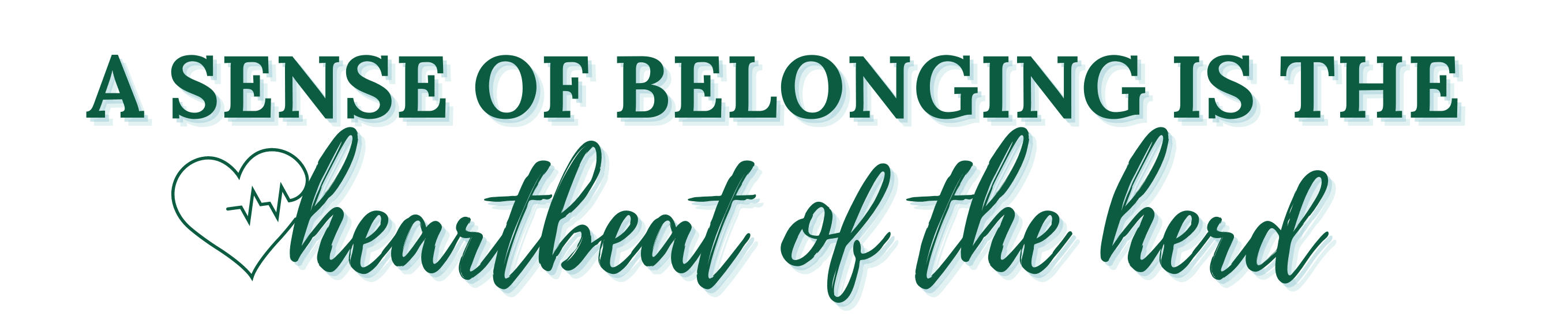 The-HERD_Belonging
